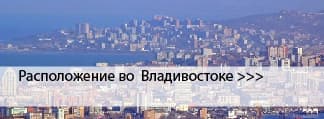 Окрашенные окна во Владивостоке Окрашенные окна во Владивостоке