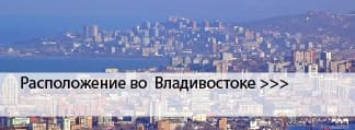 Окрашенные окна во Владивостоке