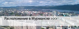 Окрашенные окна в Мурманске